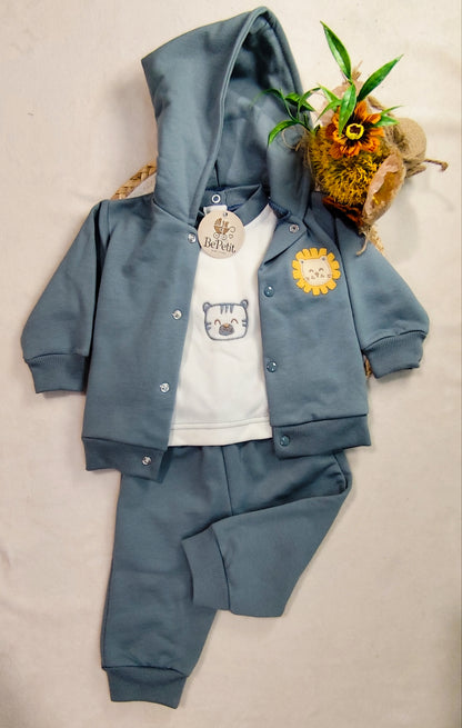 Conjunto leãozinho de três peças